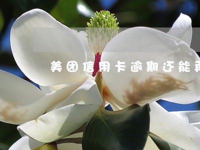 美团信用卡逾期还能再借吗 美团信用卡逾期还能再借吗