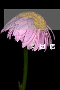美团信用卡逾期还能开通吗