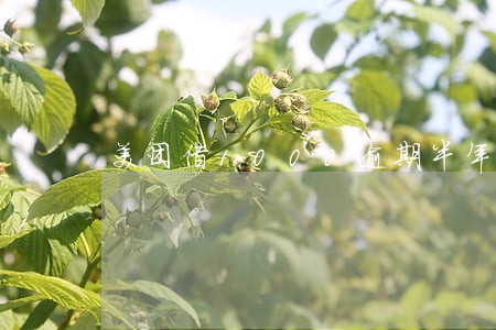美团借1000逾期半年 美团借1000逾期半年