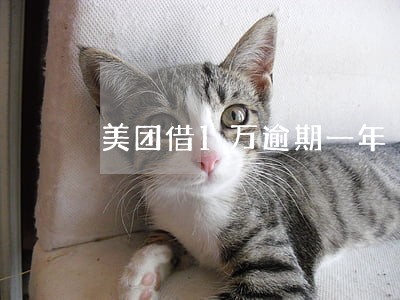 美团借1万逾期一年 美团借1万逾期一年