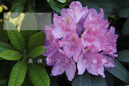 美团借2000逾期 美团借2000逾期
