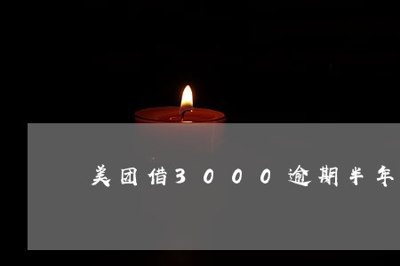 美团借3000逾期半年 美团借3000逾期半年