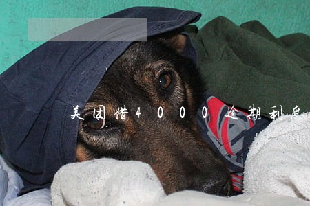美团借4000逾期利息多少