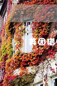 美团借5万逾期2年会拍卖房产吗