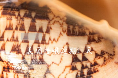 美团借呗逾期1天 美团借呗逾期1天