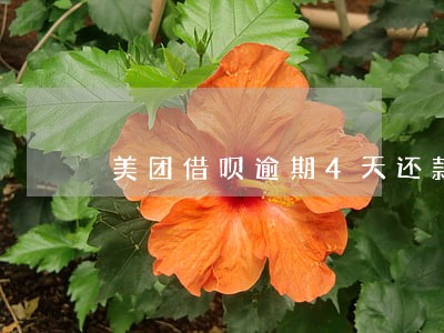 美团借呗逾期4天还款影响 美团借呗逾期4天还款影响