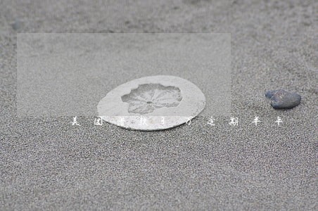 美团借款3万逾期半年 美团借款3万逾期半年