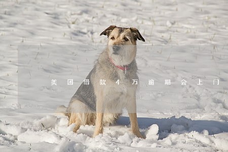 美团借款4万逾期会上门吗 美团借款4万逾期会上门吗