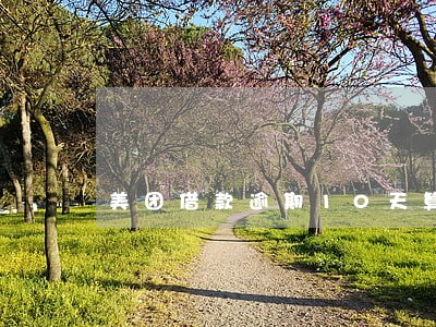 美团借款逾期10天算违法 美团借款逾期10天算违法