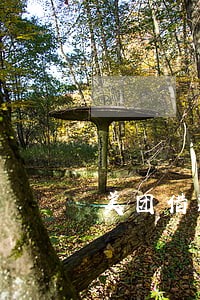 美团借款逾期16天 美团借款逾期16天