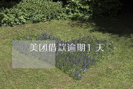 美团借款逾期1天 美团借款逾期1天