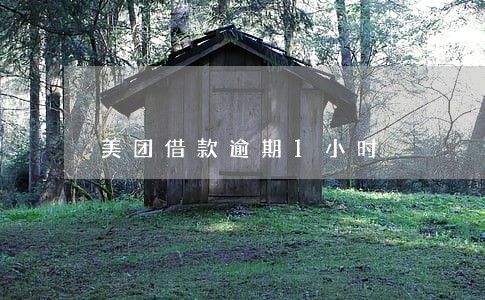 美团借款逾期1小时 美团借款逾期1小时