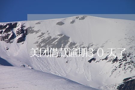 美团借款逾期30天了 美团借款逾期30天了