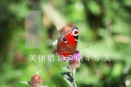 美团借款逾期45天 美团借款逾期45天