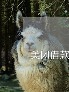 美团借款逾期4天 美团借款逾期4天