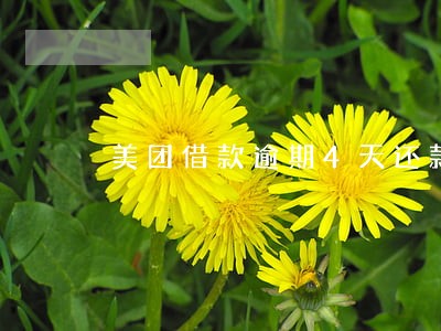 美团借款逾期4天还款 美团借款逾期4天还款