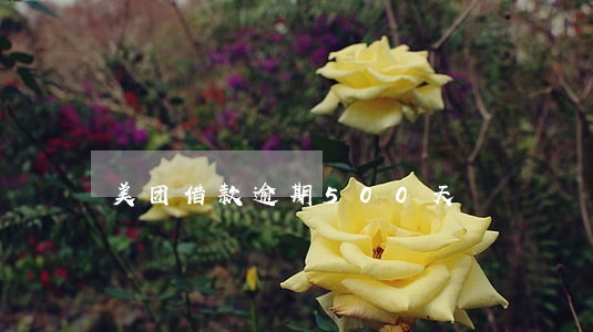 美团借款逾期500天 美团借款逾期500天