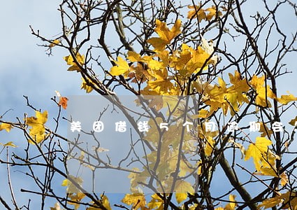 美团借钱5个月逾期会怎样 美团借钱5个月逾期会怎样