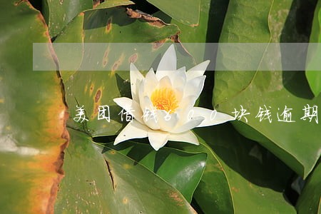美团借钱600块钱逾期会上门吗