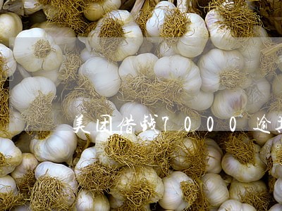 美团借钱7000逾期会怎么样