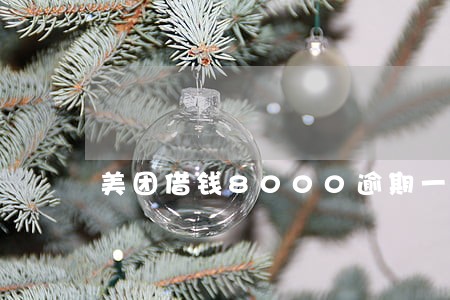 美团借钱8000逾期一个星期 美团借钱8000逾期一个星期
