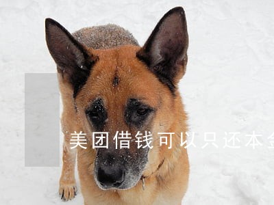 美团借钱可以只还本金吗 美团借钱可以只还本金吗