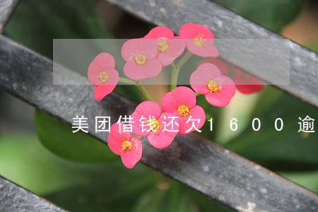 美团借钱还欠1600逾期了没还 美团借钱还欠1600逾期了没还