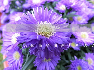 美团借钱逾期10天了怎么办