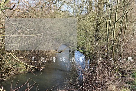 美团借钱逾期10天会降额度吗 美团借钱逾期10天会降额度吗