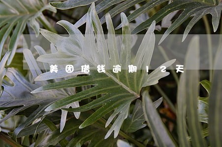 美团借钱逾期12天