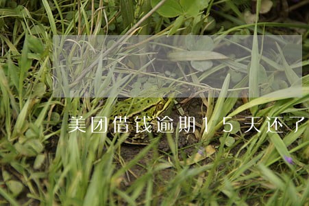 美团借钱逾期15天还了 美团借钱逾期15天还了