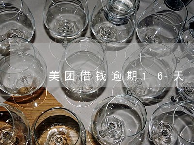 美团借钱逾期16天 美团借钱逾期16天