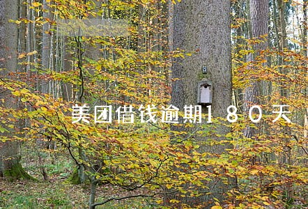 美团借钱逾期180天 美团借钱逾期180天