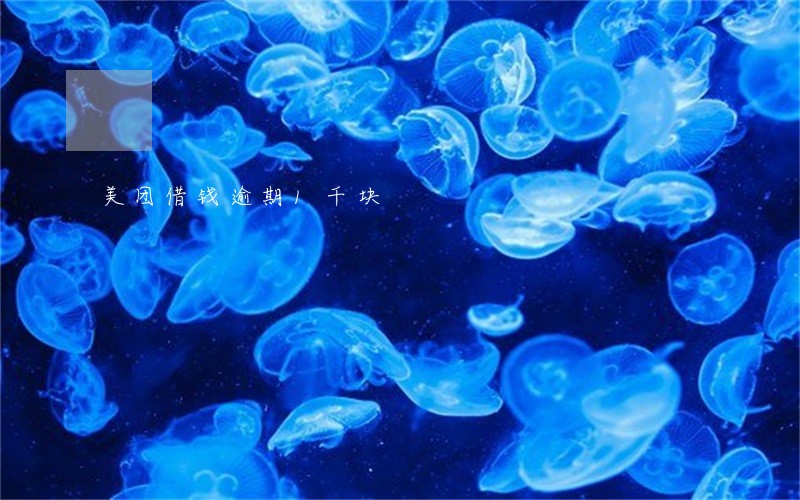 美团借钱逾期1千块 美团借钱逾期1千块