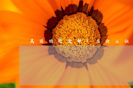 美团借钱逾期1天会上征信 美团借钱逾期1天会上征信