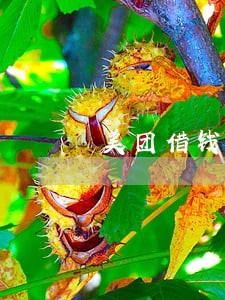 美团借钱逾期1天罚款50合理吗 美团借钱逾期1天罚款50合理吗