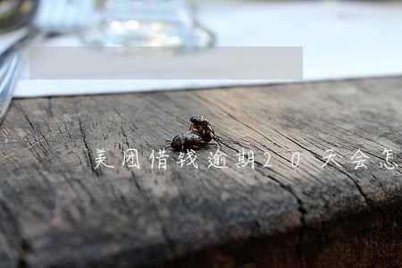 美团借钱逾期20天会怎么样 美团借钱逾期20天会怎么样