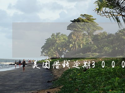 美团借钱逾期3000说报案了 美团借钱逾期3000说报案了