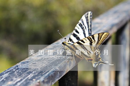 美团借钱逾期3个月 美团借钱逾期3个月