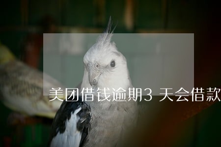 美团借钱逾期3天会借款吗 美团借钱逾期3天会借款吗