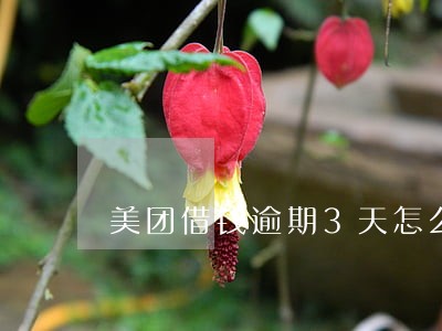 美团借钱逾期3天怎么样 美团借钱逾期3天怎么样