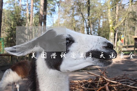 美团借钱逾期3天说要全额追偿 美团借钱逾期3天说要全额追偿