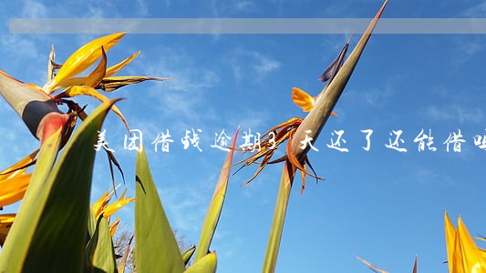 美团借钱逾期3天还了还能借吗 美团借钱逾期3天还了还能借吗