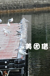 美团借钱逾期40天 美团借钱逾期40天