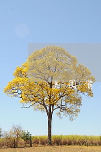 美团借钱逾期4天会上征信吗