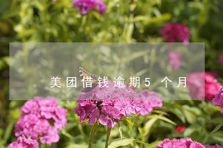 美团借钱逾期5个月 美团借钱逾期5个月