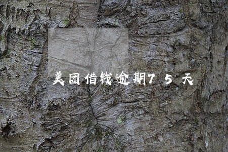 美团借钱逾期75天 美团借钱逾期75天