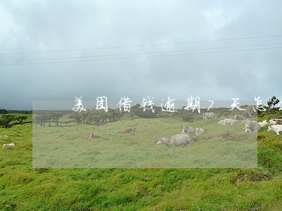 美团借钱逾期7天怎么样