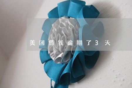 美团借钱逾期了3天 美团借钱逾期了3天