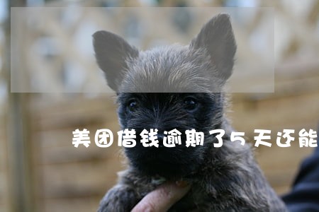 美团借钱逾期了5天还能用吗 美团借钱逾期了5天还能用吗